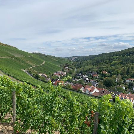 Modernes Penthouse, Nahe Wuerzburg Διαμέρισμα Εξωτερικό φωτογραφία